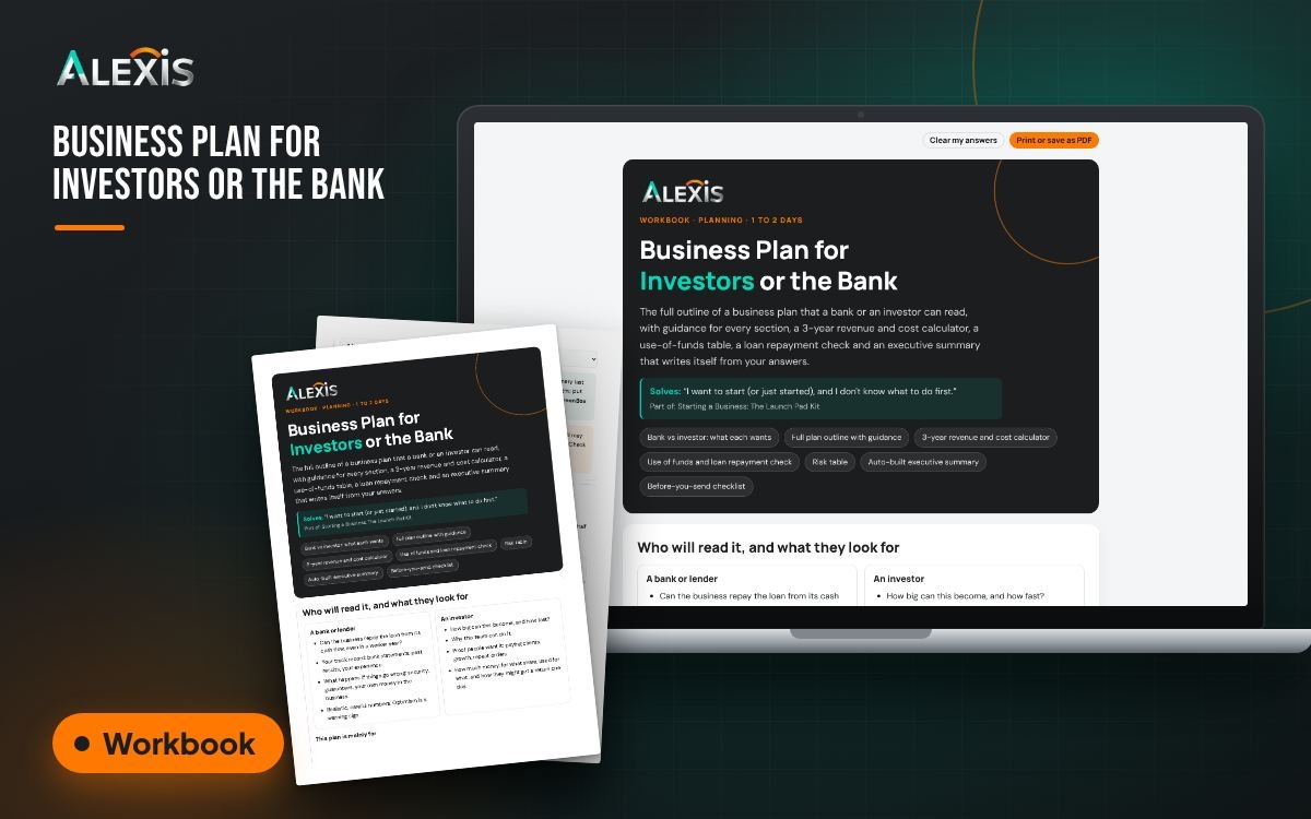 Business Plan for Investors or the Bank: workbook and PDF