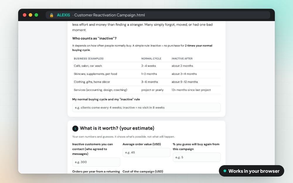 Customer Reactivation Campaign: The workbook on screen: you fill it in, it does the sums and keeps your answers.
