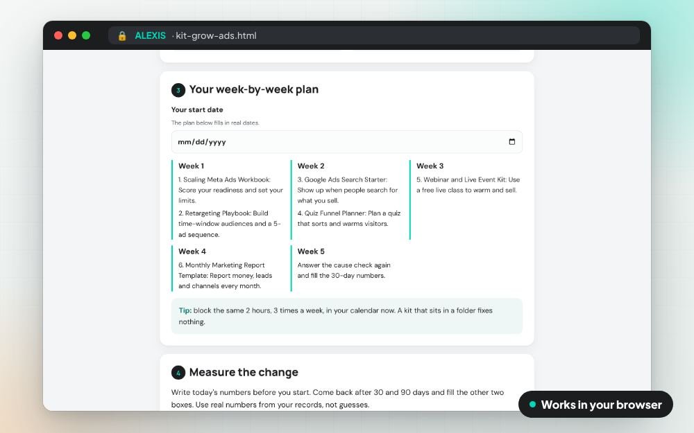 Growing Ads Profitably: The Scale Kit: The fix kit on screen: you fill it in, it does the sums and keeps your answers.